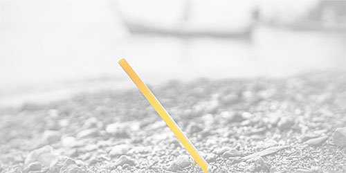 the last straw